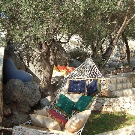 Villa Villa Suro Evi